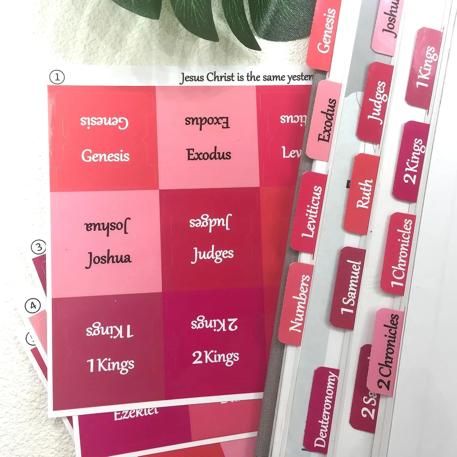 Rose Pink Bible Tabs Large Print Laminated Bible Tabs for Women and Girls Easy to Read Bible Book Tabs for Study Bible Index Tab 3
