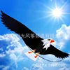 2 Meters 3D Large Kite Eagle Parrot Seagull Kite Realistic Image Lifelike Easy Flying Kite Children Birthday Gift 4