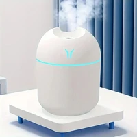 Portable 250ml Mini Cup Spray Mist humidifier Double Wet Aroma Essential Oil Diffuser Car usb air humidifier 1