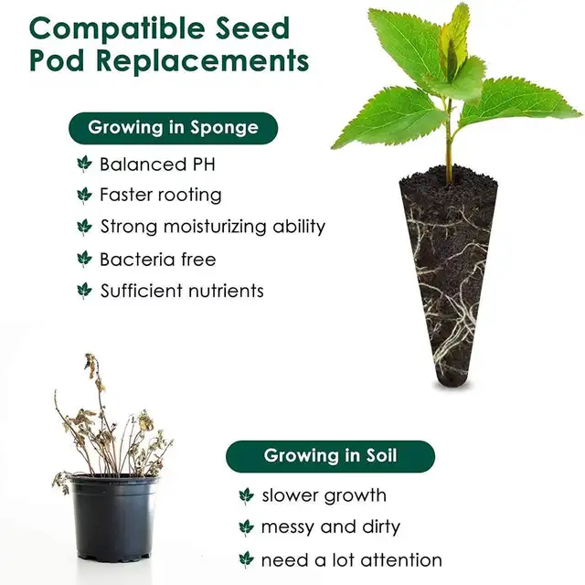 50 Db -Os, Kilépő Növekvő Faszénszál -Szpongesflower Szivacsos Tápanyag -Talaj Talaj - Image 2