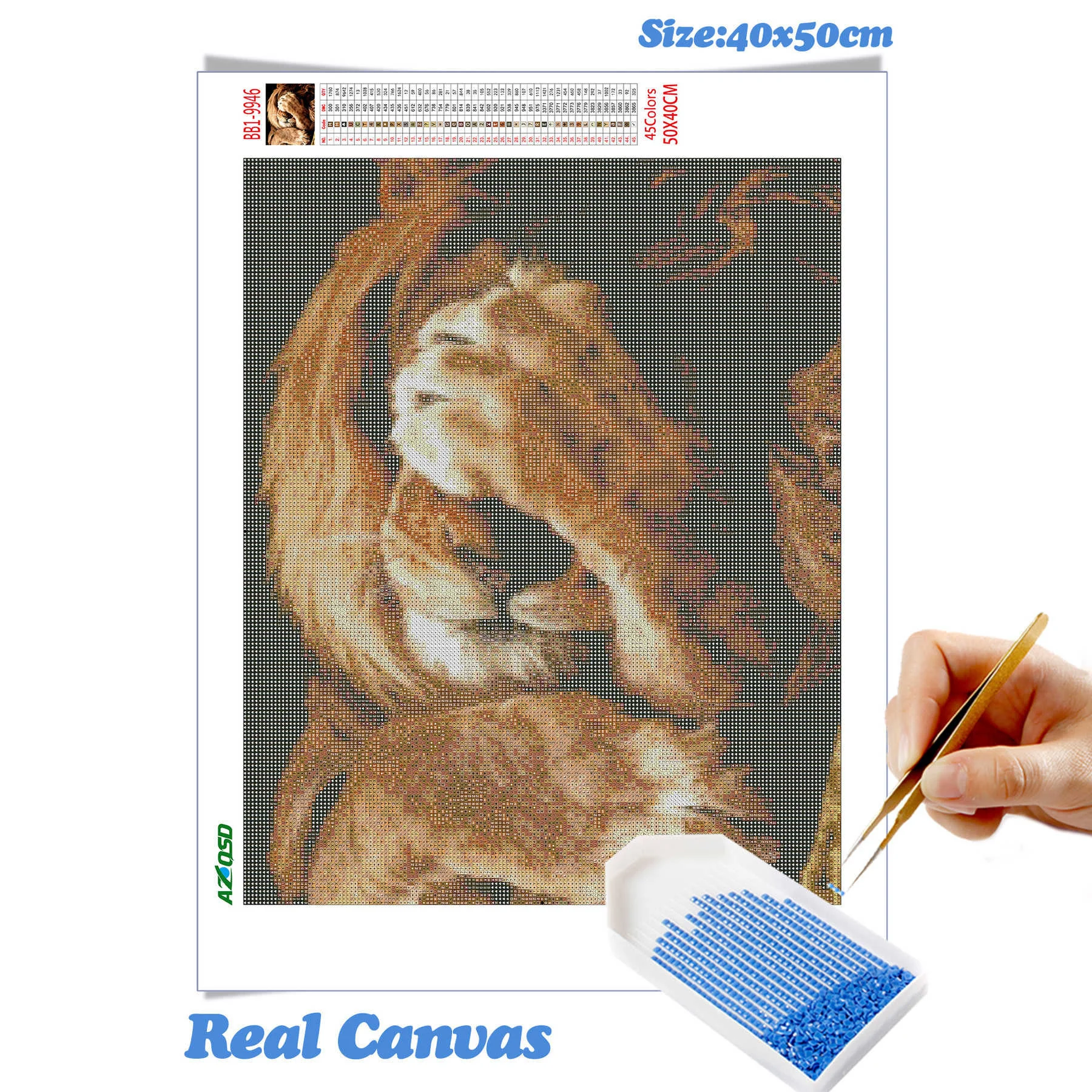 BB1-9946.jpg_.webp BB1-9946.jpg_.webp