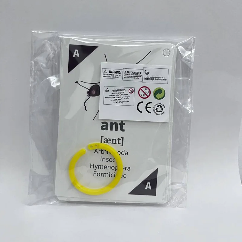 Children's Early Education Animal Insect Cognitive Card