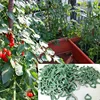 40PCS Plant Clips Garden Clips for Tomato Cage, Tomatoes Clips Plant Support Clips for Bamboo Stakes, Climbing Plants, Vines 6
