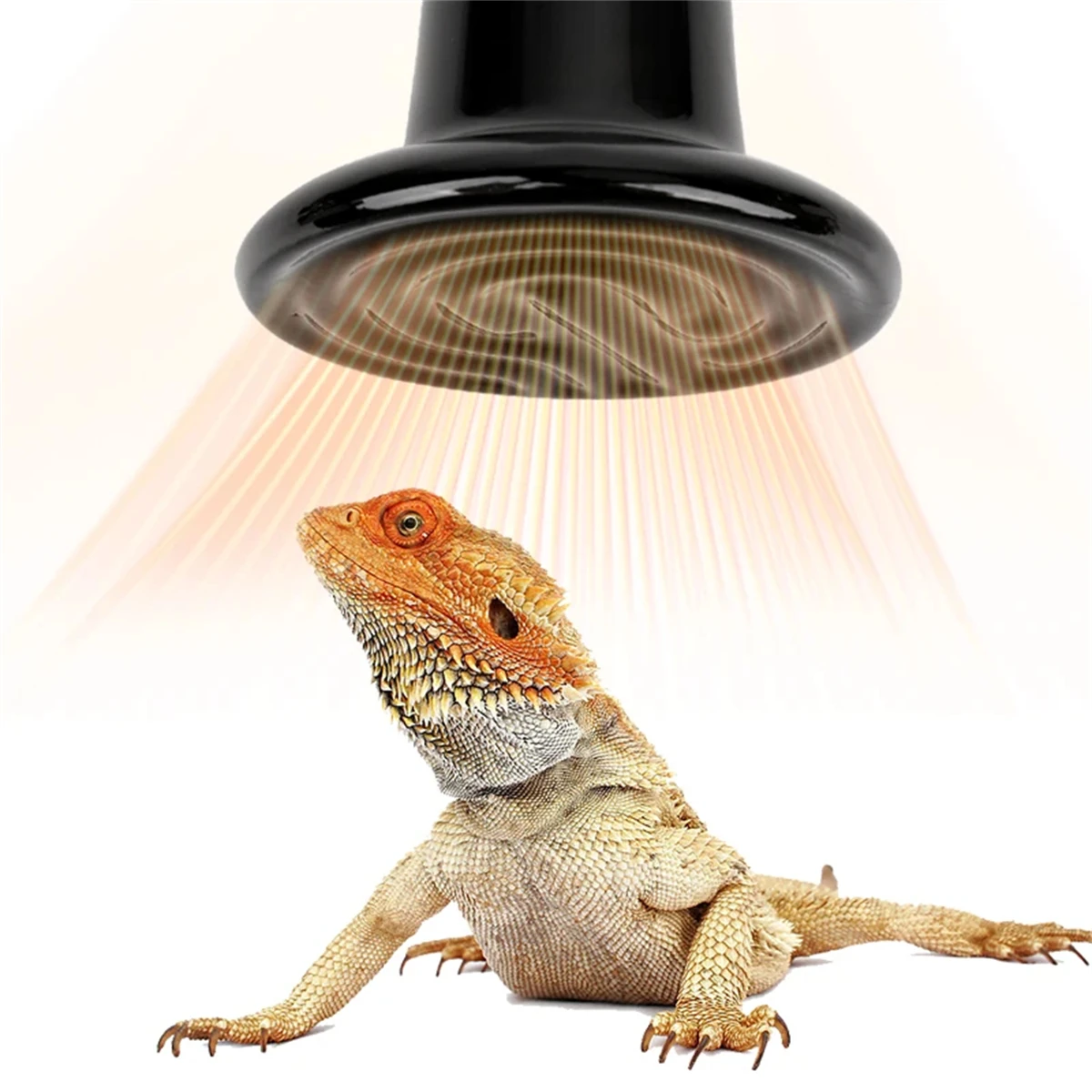 Reptile Ceramic Heating Lamps 4