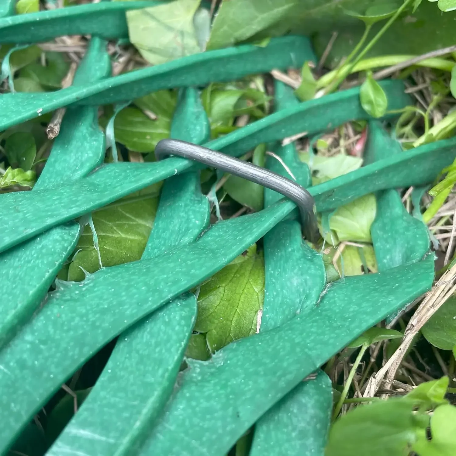 Grass Protection Mesh w/Accessories - 3'x50' Roll (150sf) - Reinforcement for Grass Parking, Driveways, Parking, Turf Protection