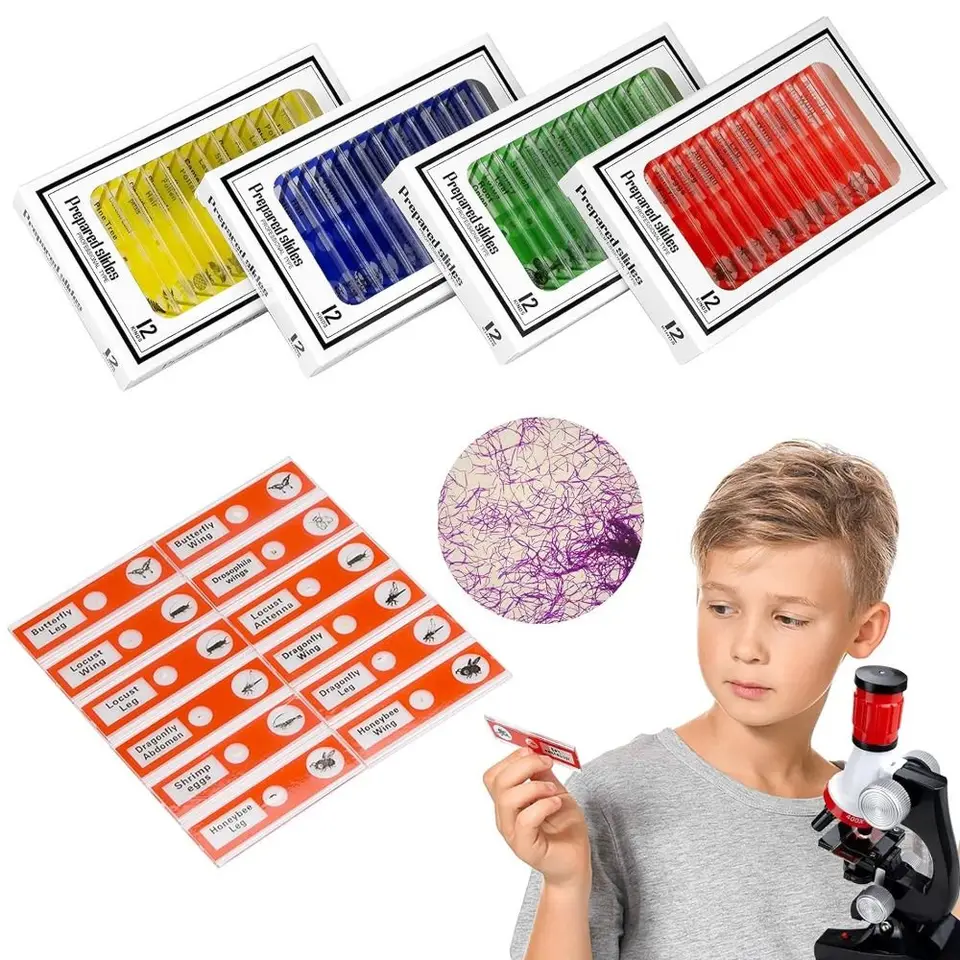 48 Vetrini Microscopici Preparati In Plastica Per Bambini, Campioni Biologici Per Educazione Scientifica