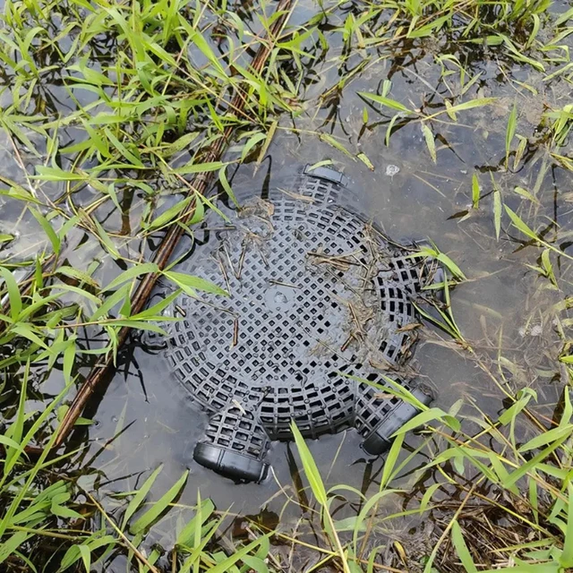 3/6/8 Holes Catch Loach Lobster Mixed Fish Crayfish Catcher Outdoor Fishing Net Cage Plastic Shrimp Trap Cage Easy to Install 2