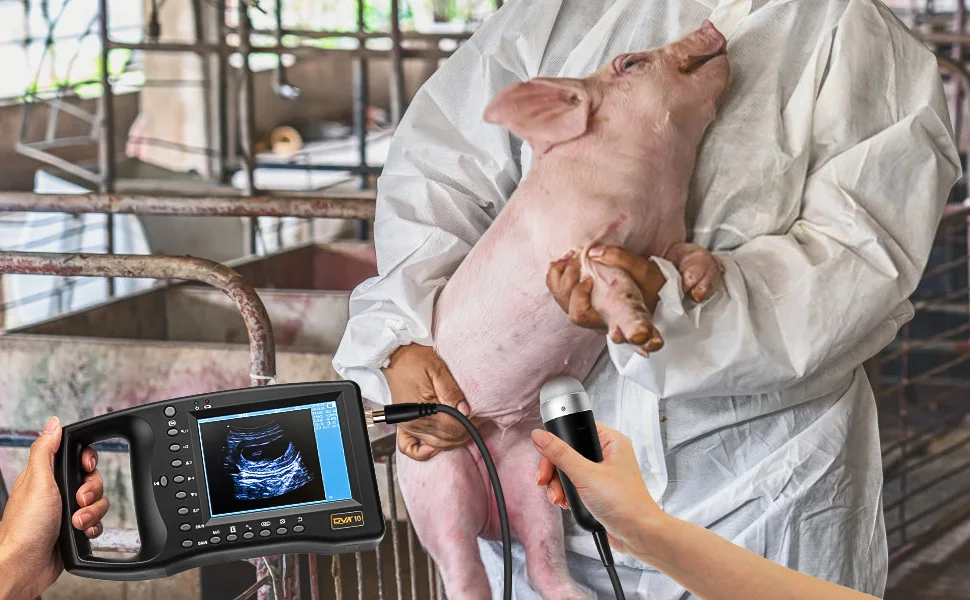 Portable Veterinary Ultrasound Scanner, Vet Pregnancy Ultra Machine with 3.5MHz