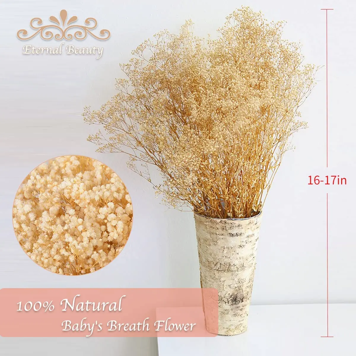 Dried Flowers Babys Breath Bouquet Ivory White Natural Gypsophila Branches  for Home Decor Wedding Dry Flowers