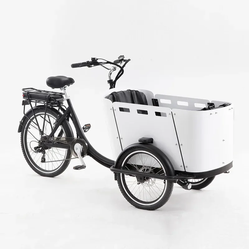 

Electric Pedal 3 Wheels Cargo Bike With 250W Rear Motor For Carrying Kids Or Pets