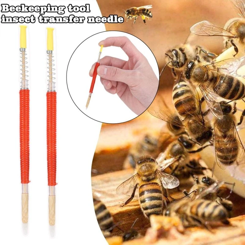 Beekeeping Grafting Tool Bee Queen Larva Apiculture Retractable Grafting Equipment New Supplies Pszczelarstwo Tools 10pcs