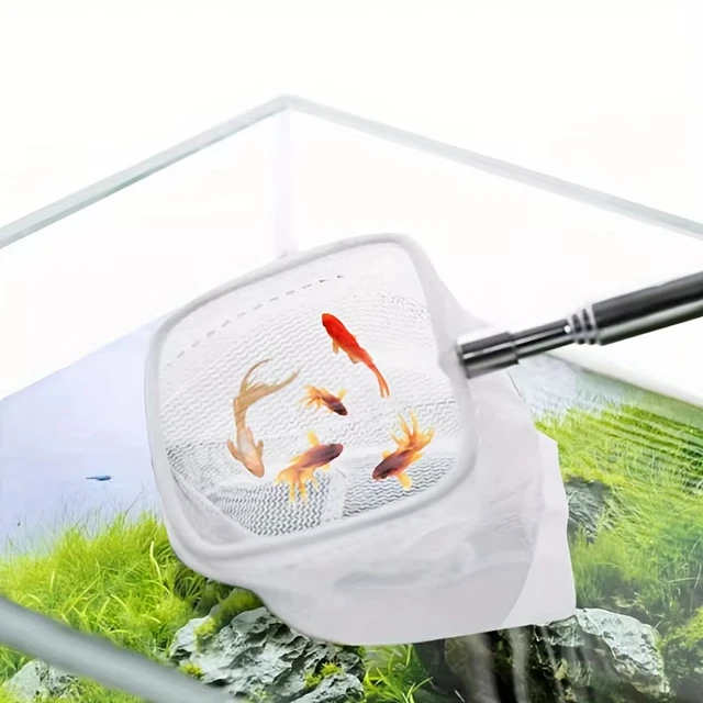 Aquarium Square Fishing Net With Suction Cup Extendable Long Handle Fishing Gear For Catching Fish Shrimp tank clean accessories 5