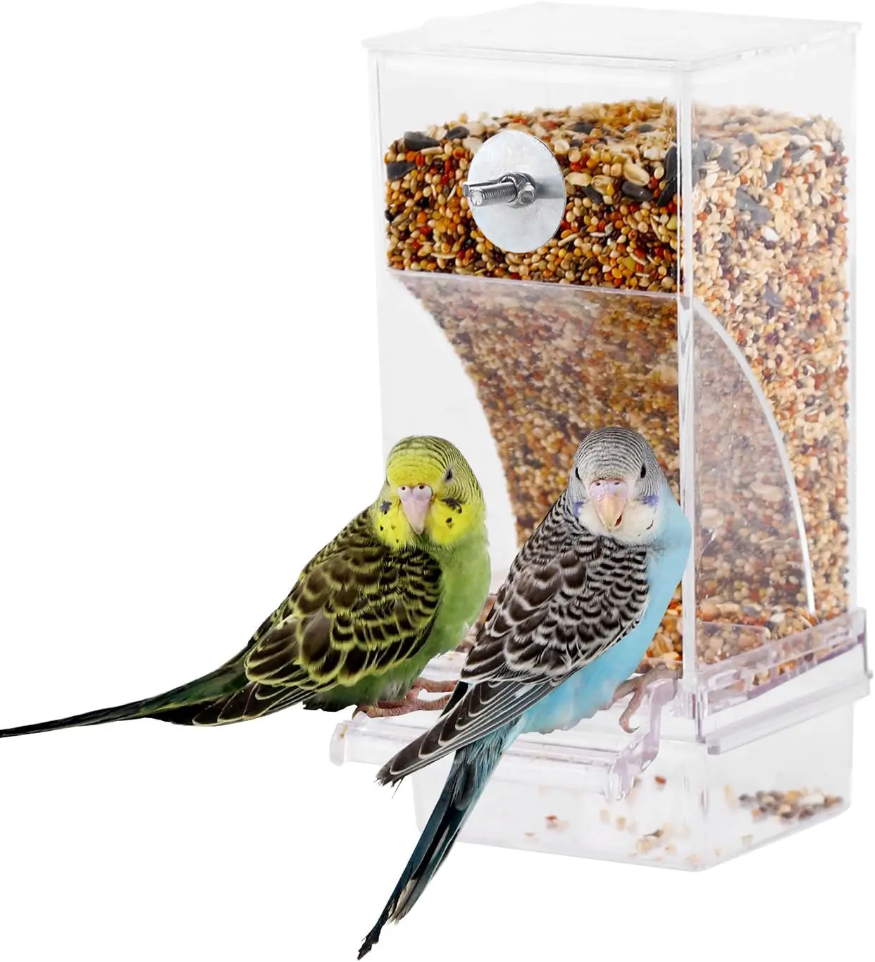 No Mess Bird Feeder 2
