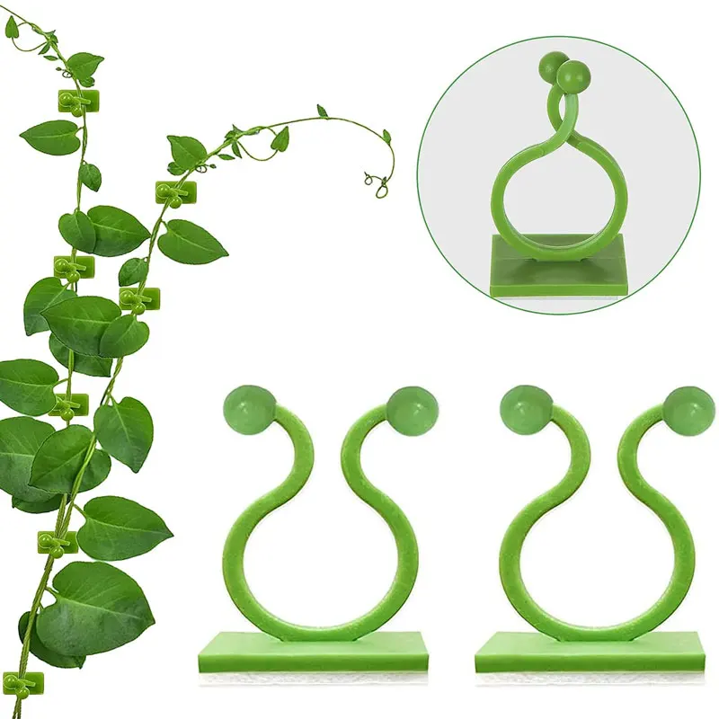 

10pcs Plant Climbing Wall Self-Adhesive Fixed Buckle Hook Fastener Tied Fixture Vine Hook Garden Plant Wall Climbing Vine Clips