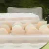 Durable Plastic 12/18 Grids Egg Tray Transparent Anti-collision Egg Storage Box with Lid Stackable Fridge Egg Organizer Kitchen 3