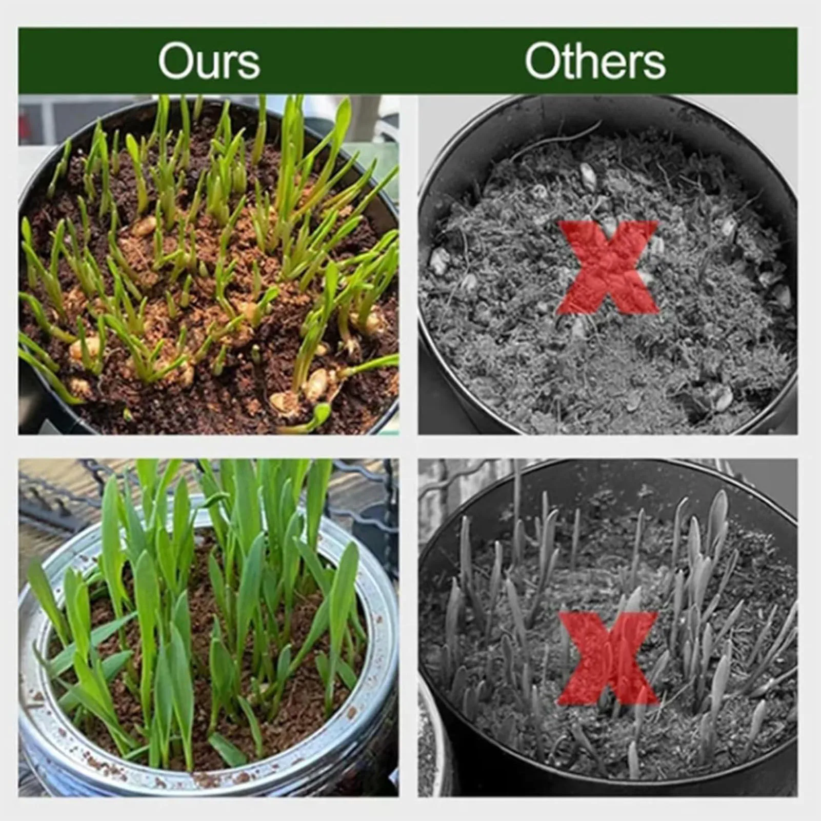 Coconut Bran Soilless Culture Nutrient Soil High Water Retention and Ventilation for Planting Fruits Vegetables