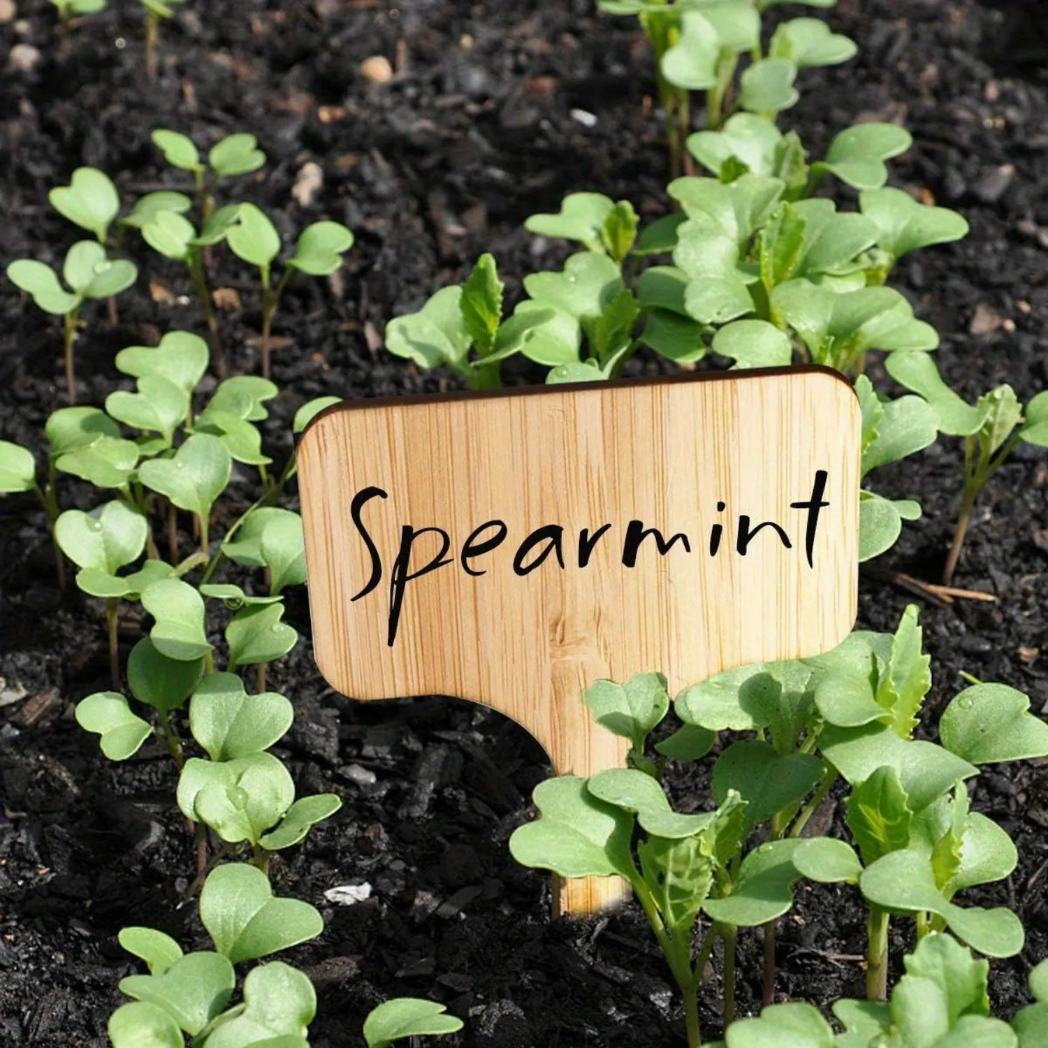 علامة تسميه للنباتات