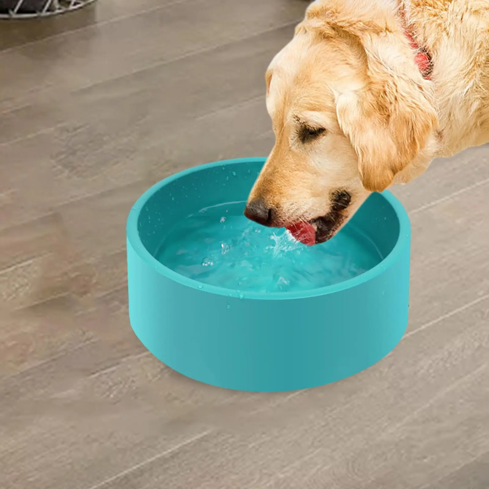 Heated Water Bowl Outside Heated Cat Bowls in Winter Pet Heating Bowl Pet Water Dispenser for Bird Bath Chicken Rabbit Cat Puppy