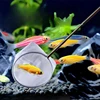 Aquarium Fish Net Small Shrimp Fine Mesh Net for Tank Cleaning Catching Breeding Betta Fry and Guppy with Handle Cleaning Tools 2
