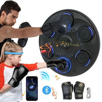 Boxing Machine Wall Target Electronic 1