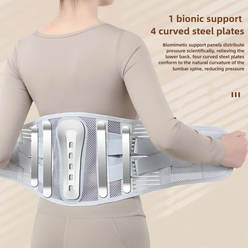 Professional Lumbar Support Back Brace with 5 Reinforced Stays 360 Degree Support for Lower Back Pain Relief Herniated Disc