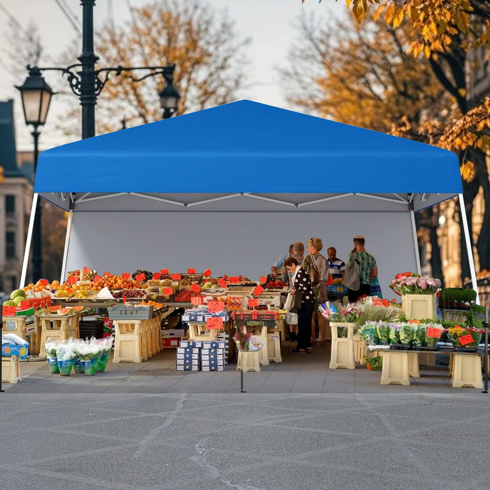 10x10 Pop Up Canopy 2