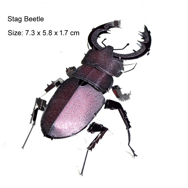 Stag Beetle-Color