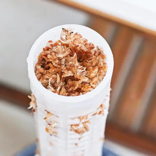 25 Cm-Es Magas Mászó Növényi Pólus Sphagnum Mohálpálcák Növény Növekvő Tartótámogató Vízmegtakarító Műtrágya Gazdag Kókuszpálma Bot - Image 3