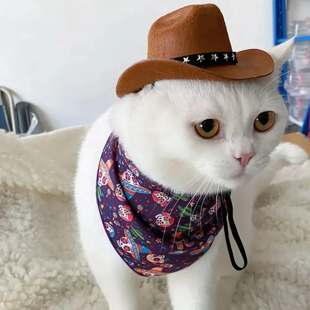 Pet Cowboy Hat