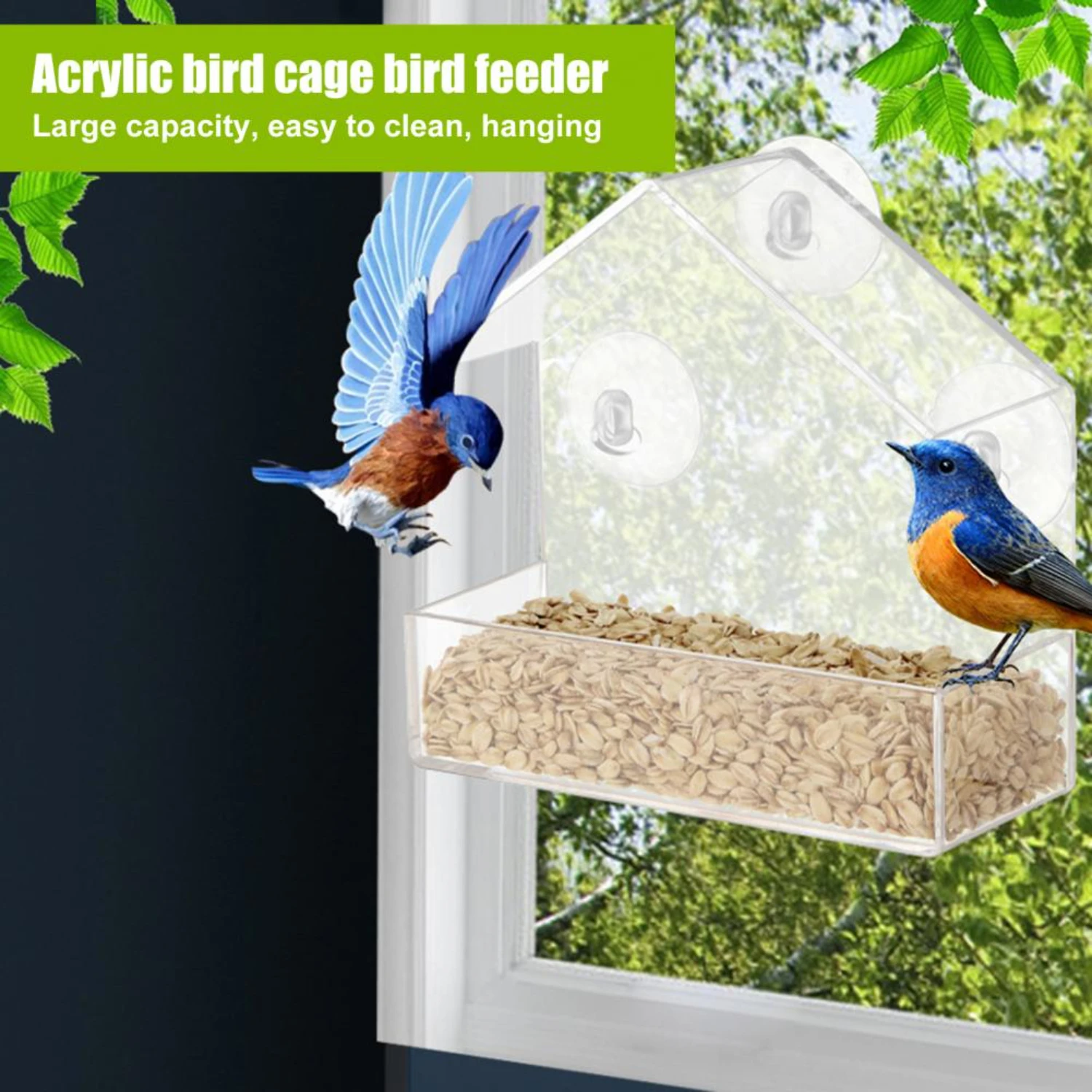 Stylish, Durable Premium Quality Organic Glass Alec Bird Feeder-Anti-Splash Food Box and Trough Bowl for Outdoor Feeding-Per