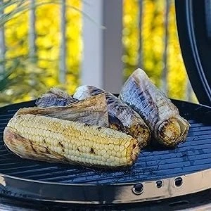 versatility,grill.SRG