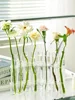 Creative Simple Clear Glass Vase Tubes Set Hanging Flower Arrangement Holder Transparent  Plant Container Home Room Decoration 6