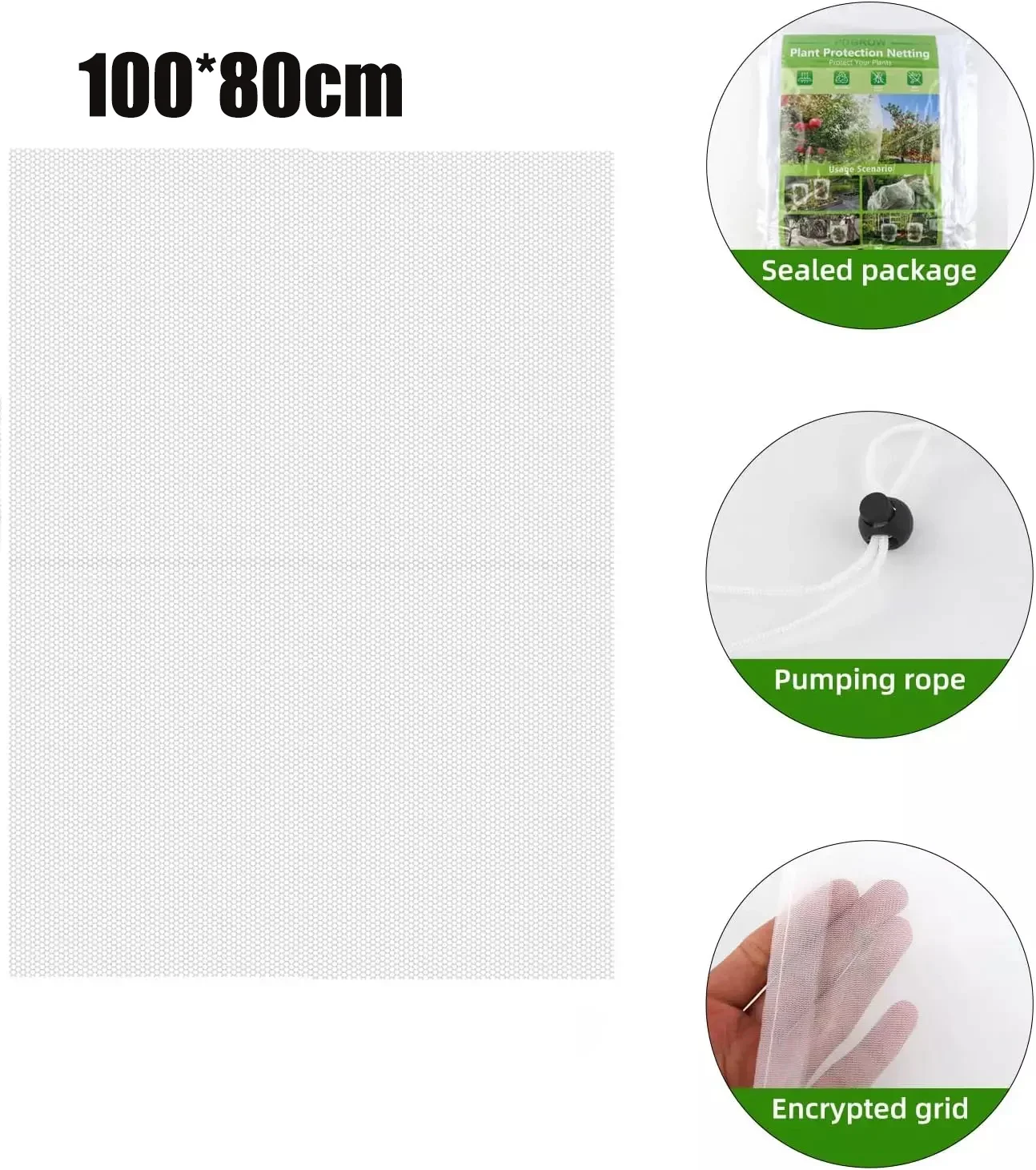100x80cm