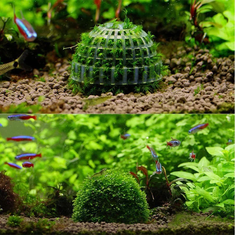 1PC Plastic Aquarium Moss Ball Filter Aquatic Pet Supplies Decorations For Shrimps Fish Tank Pet Products Fish Tank Decor