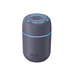 Compact USB Air Humidifier with Color - Changing Mood Light and Ultra - Quiet Operation - 220ml Capacity (Grey)