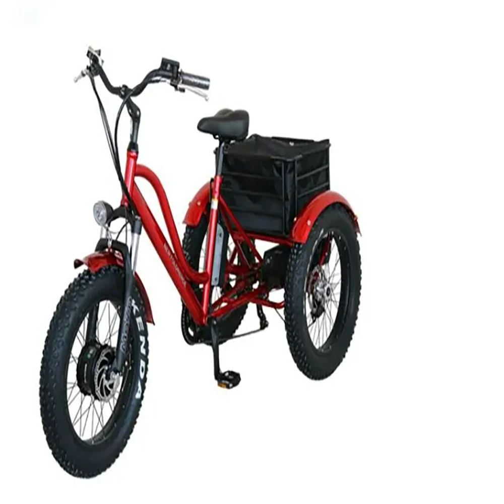 elektro bicycle