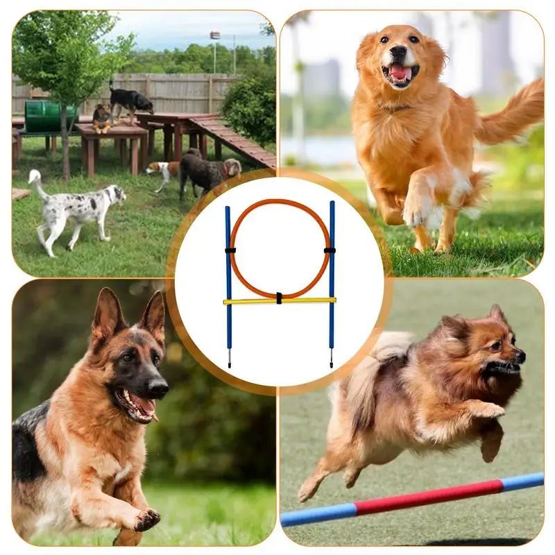 PAWISE Dog Training Exercise Equipment,Dog Agility Training