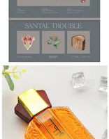 Parfums arabes boisés pour hommes, vaporisateur de parfum, phéromone pour flirter, longue tenue, gentleman irrésistible, cadeau pour la Saint-Valentin 6