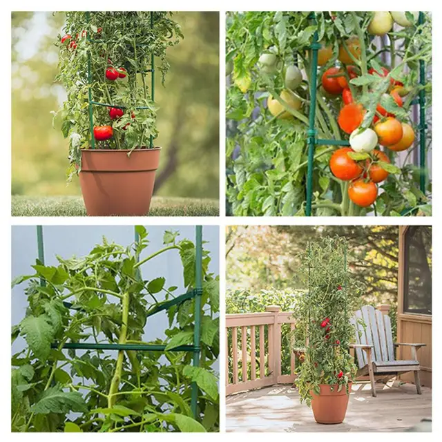 1 Beállított Gyakorlati Növényi Tartó Állvány Tartós Növénytámasz Keret Elleni Küzdelem Paradicsom Támogató Széles Alkalmazások - Image 6