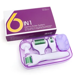 6 In 1 Microneedle Derma Roller Kit for Face Body 300/720/1200  Dermaroller Micro Needle Facial Massager Face Roller Skin Care