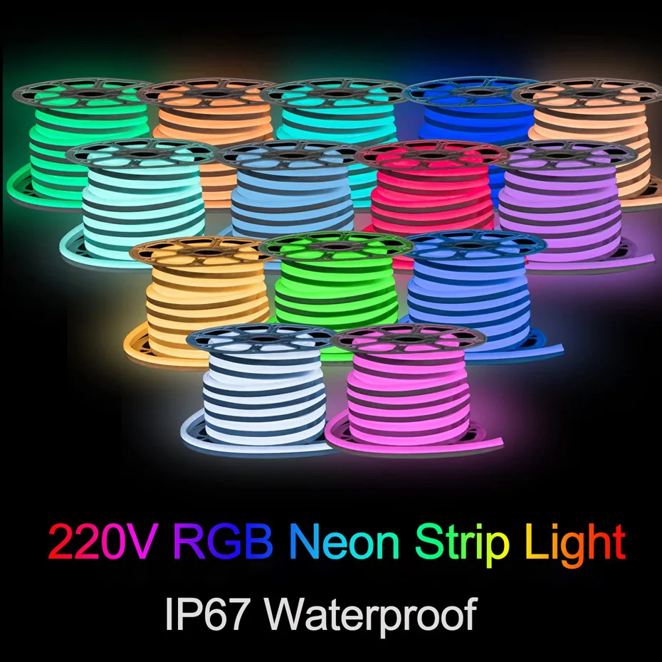 1-100m LED neonové svléknout se 220V RGB neonové lano lehký vodotěsný IP67 daleký bluetoothtuya WIFI chytrá pružné páska hlas ovládání