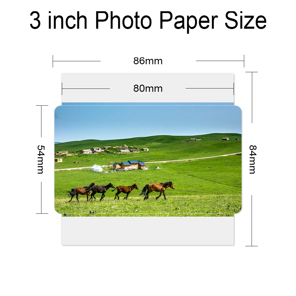 Photo Paper Input Tray Fit Canon Selphy Printer P Tray for 6 inch Photo  Paper for Canon Selphy CP1300 CP200 CP1500 CP800 S1 ES2 - AliExpress