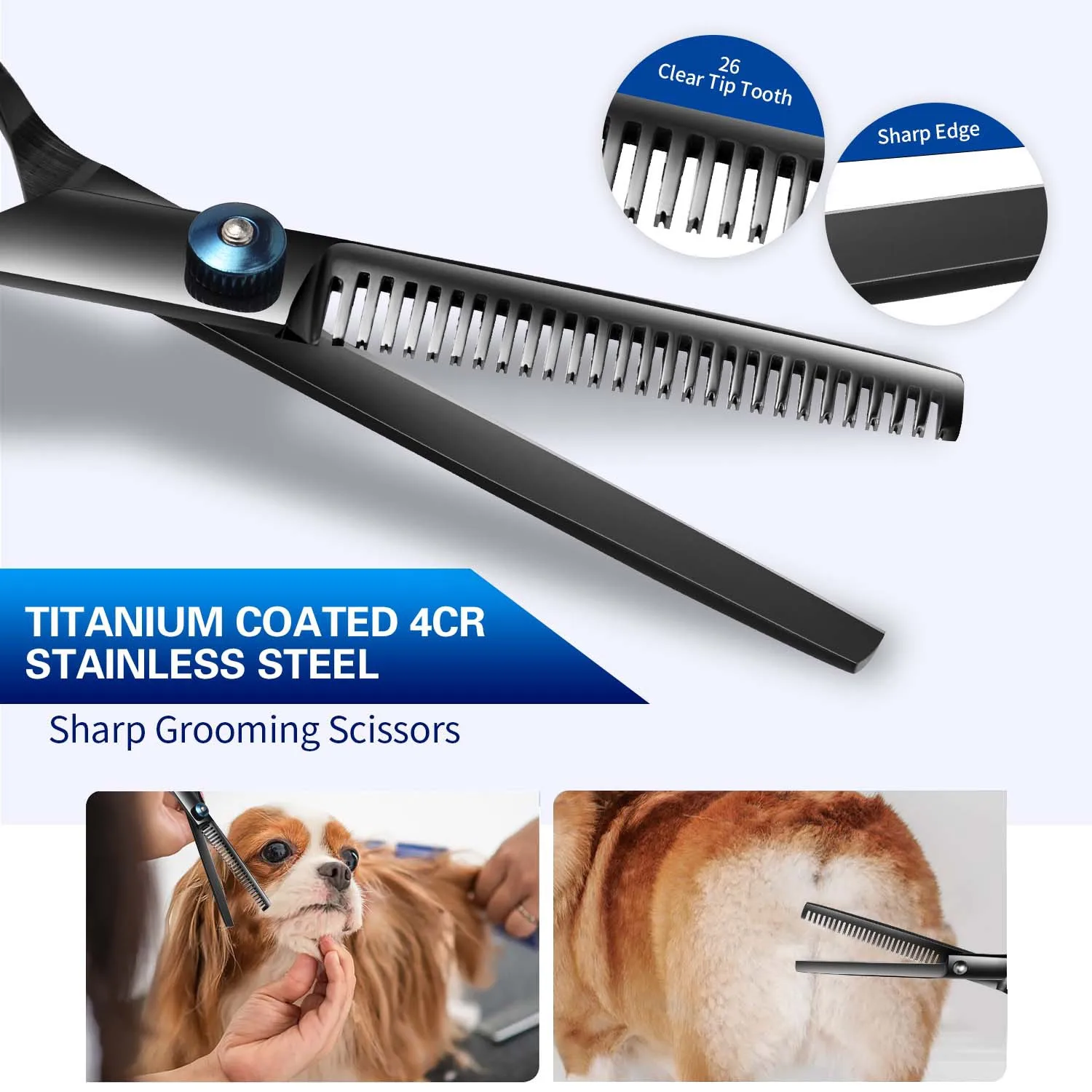 Dog Grooming Scissors Kit Professional Stainless Steel Round Head Pet Shears Animal Cutting Portable