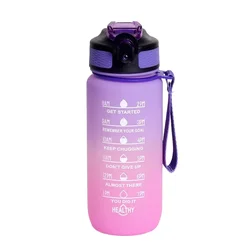 600ml Leakproof Motivational Water Bottle with Time Marker and Straw - Frosted Gradient Finish - 600ML (Gradient purple)