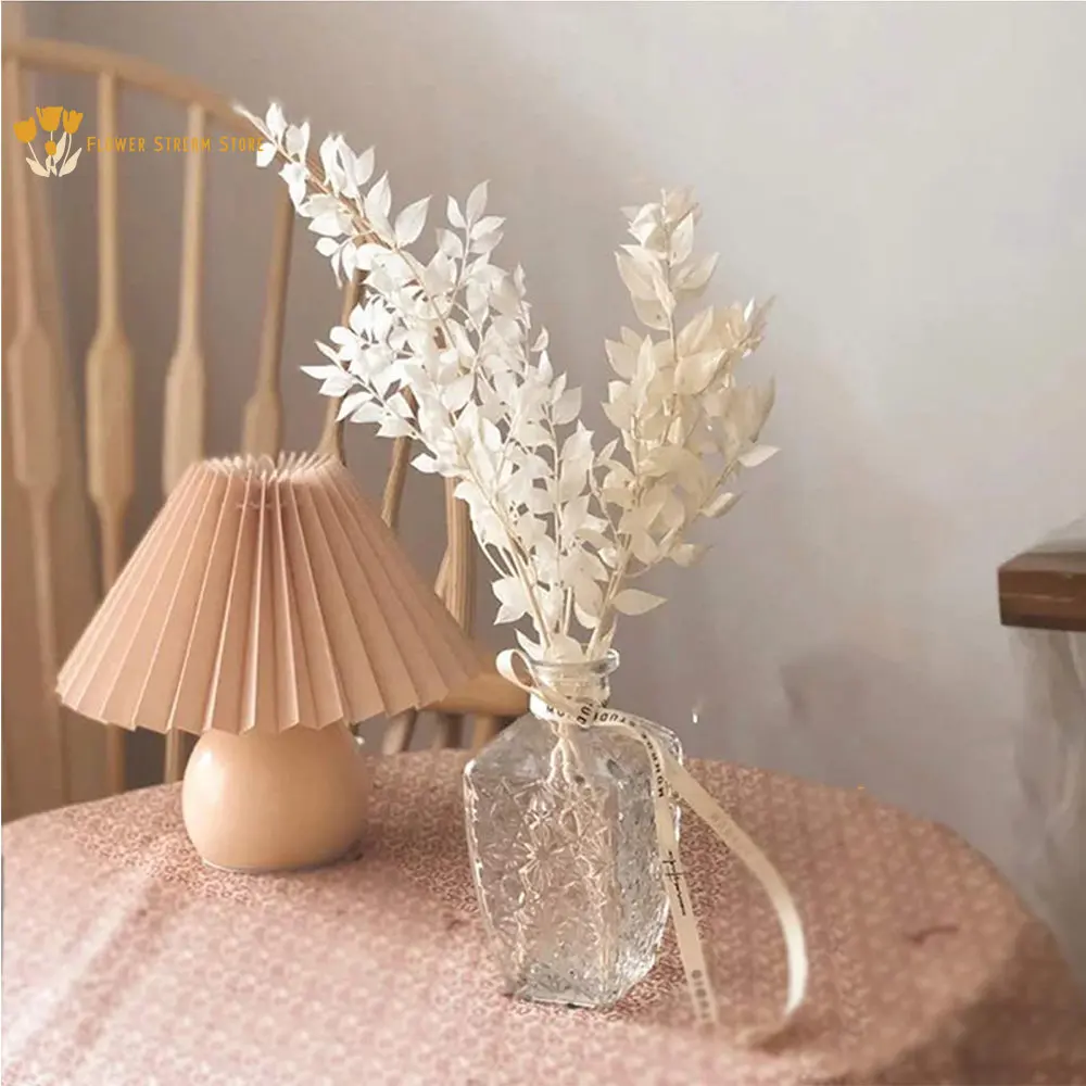

Natural Dried Flowers Preserved Stems Botanical Foliage Ruscus Leaves for Home Decor Sharp Leaf Plant Wedding Party Decoration