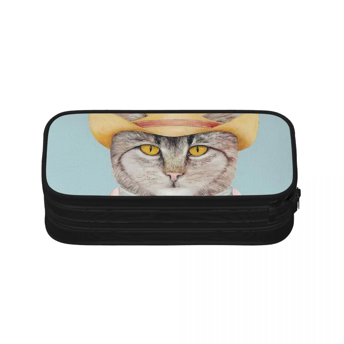 Рисунок 5 - Коробка для ручек с ковбойским котом