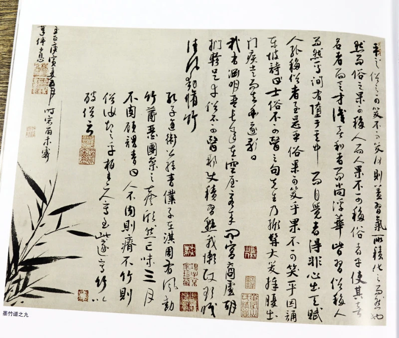 Qi Baishi Freihand Malbuch Meister Chinesische Maltechnik erklären Wu Zhen Bambus Tinte Maltechnik Tutorial Buch – Detail 7