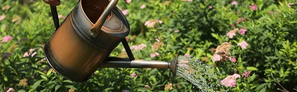 watering can