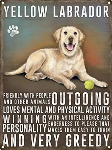 Giallo Labrador Wall Poster Tin Sign Vintage Bbq Restaurant Dinner Room Cafe Shop Decor