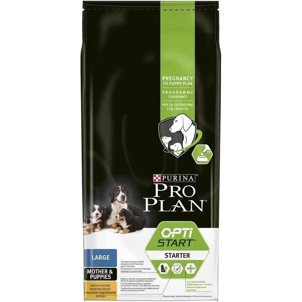 Should I Soak My Dogs Dry Food